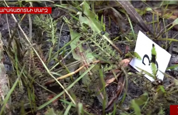 Բացառիկ կադրեր Ապարանում տեղի ունեցած սպանության վայրից